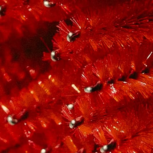 HOLIDAY CHEER at The Endless Evolution in Upland, CA